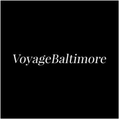 VoyageBaltimore Magazine logo for 2026 feature of The Dappled Wood founder Brittany Arnett
