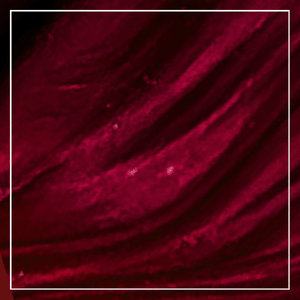 Blackberry wine color swatch for the Abundance flower earrings workshop.