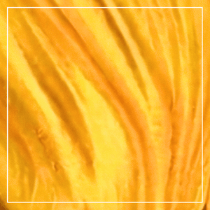 Sunflower yellow color swatch for the Abundance flower earrings workshop.